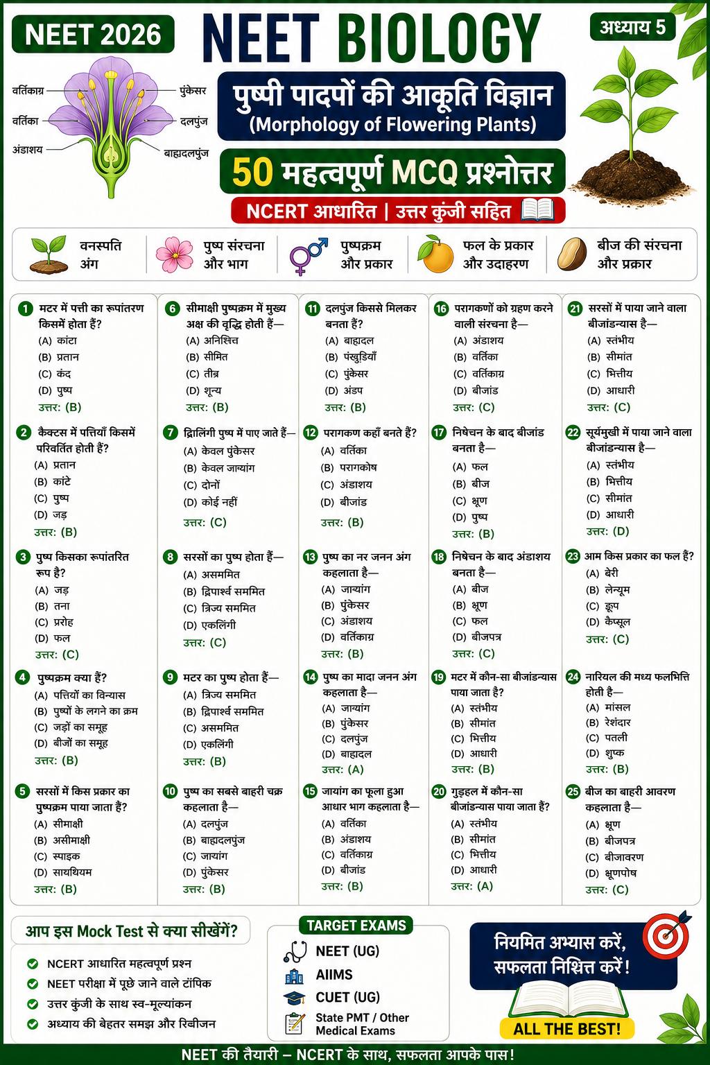 morphology of flowering plants neet 300kb