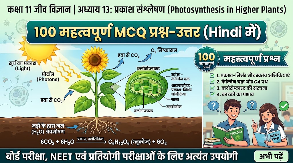 Science GK : प्रकाश संश्लेषण MCQ in Hindi | Class 11 Biology Chapter 13 Important Questions prakash sanshleshan mcq in hindi class 11 biology chapter 13