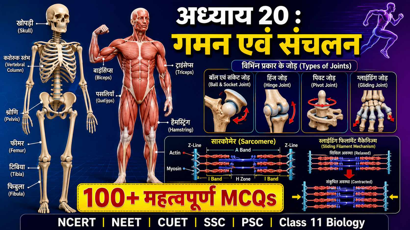 locomotion and movement mcq in hindi