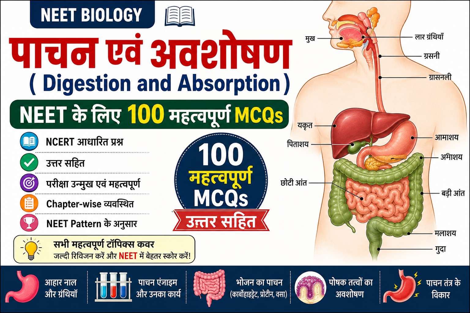 पाचन एवं अवशोषण (Digestion and Absorption) – NEET Biology के 100 महत्वपूर्ण MCQs | हिंदी Notes pachan evam avshoshan 200kb