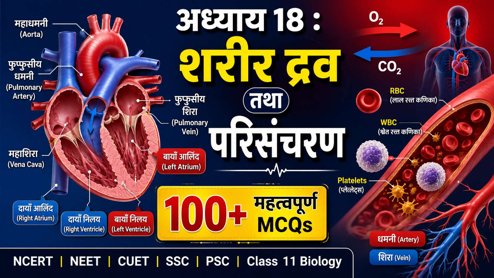 sharir drav tatha parisanchran mcq in hindi
