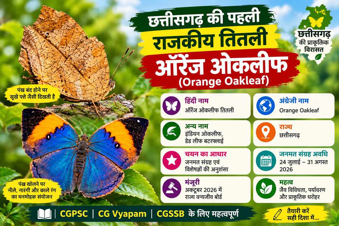 छत्तीसगढ़ की पहली राजकीय तितली ऑरेंज ओकलीफ | CG GK orange oakleaf